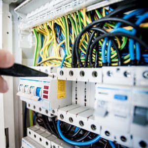 Switches, Coils, and Overloads (A8006)